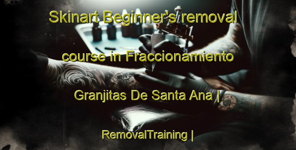 Skinart Beginner's removal course in Fraccionamiento Granjitas De Santa Ana | RemovalTraining | RemovalClasses | SkinartTraining-Mexico